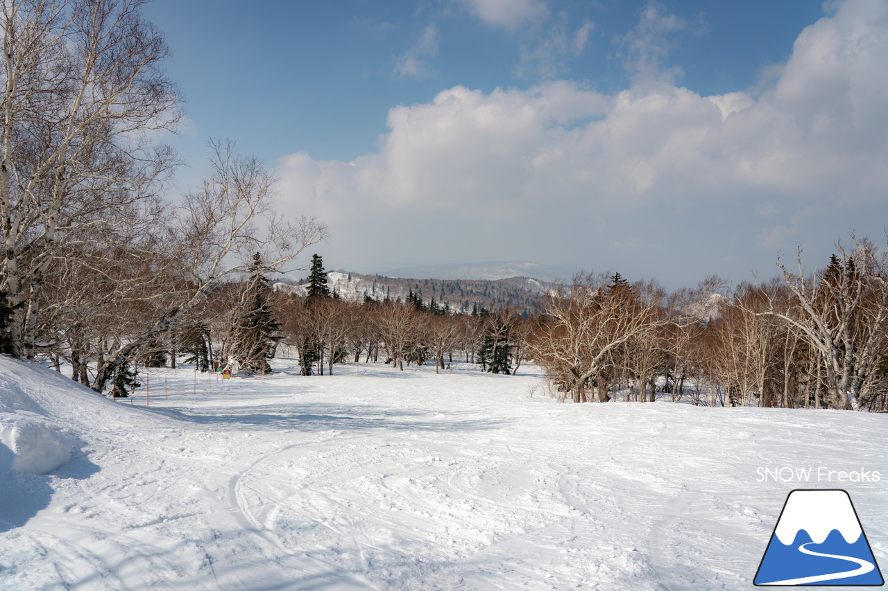 札幌国際スキー場｜さすが『KOKUSAI』！春シーズンも安泰の豊富な積雪で、まだまだ余裕で全面滑走可能です(^^)v